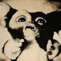 Profile Picture of Kyle Aragon (@kyle-aragon-10) on Quora