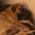 Profile Picture of Connor Mcginley (@cmginley36) on Instagram