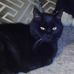 Profile Picture of Corina Callender (@corina.callender.7) on Facebook