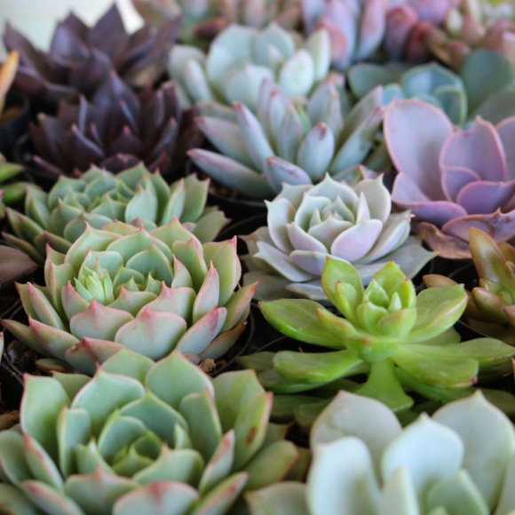 Profile Picture of Phoebe Parker (@25parkerp) on Poshmark