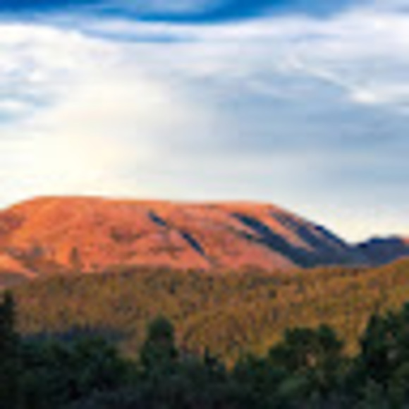 Profile Picture of Danielle Besseling (@dbesseling) on Poshmark