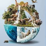 Profile Picture of Danny Salcedo (@danny.salcedo.564) on Instagram