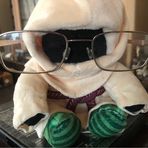 Profile Picture of Thomas Fishwick (@thomas.fishwick.90) on Facebook