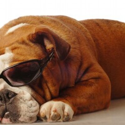 Profile Picture of Josh Rumley (@JoshRumley) on Twitter