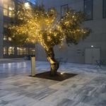 Profile Picture of Γαρυφαλλια Λαμπροπουλου (@lamlitsa) on Instagram