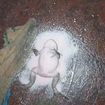 Profile Picture of Josh Kilbourne (@joshuakilbourne9) on Instagram