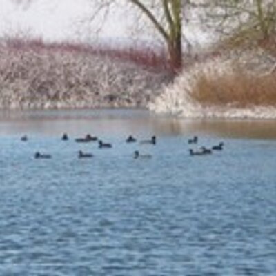 Maria Gorski - Twitter Profile Picture of Maria Gorski (@mariagorski) on Twitter