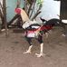 Profile Picture of Vinay Raju (@vinay.raju.315428) on Facebook