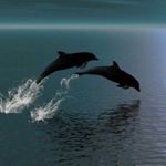 Profile Picture of Neysa Arocho Pérez (@neysaarochoperez) on Instagram