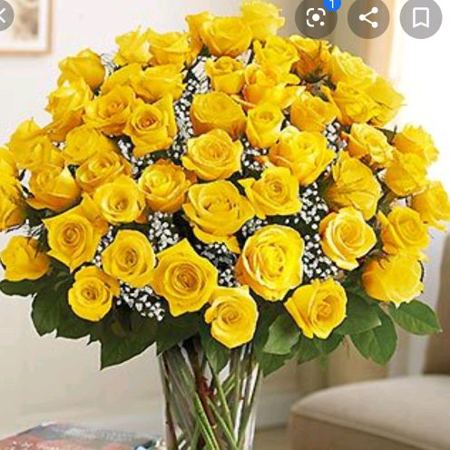 loria - Tiktok Profile Picture of loria (@loriapp) on Tiktok