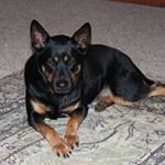 Profile Picture of Mike Bashford (@mtb39565) on Instagram