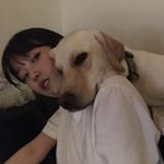 Profile Picture of 김가흔 (@gah_n_) on Instagram