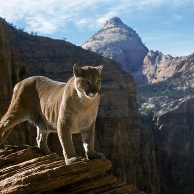 Profile Picture of Terry Irvin (@@tirvin32) on Twitter