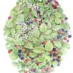 Profile Picture of Jade Rennert • Clover Clark (@meyergallery) on Instagram