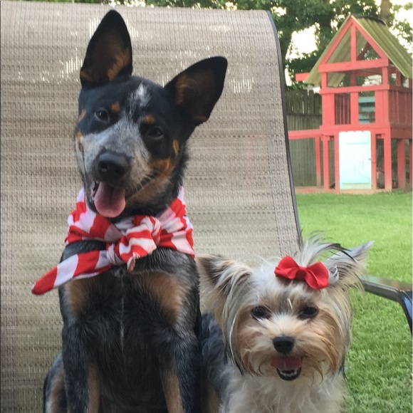 Profile Picture of Karla Kleinpeter (@kidslandl) on Poshmark