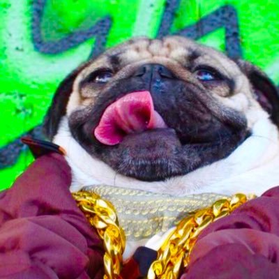Profile Picture of Matt Engle (@mattengle7) on Twitter