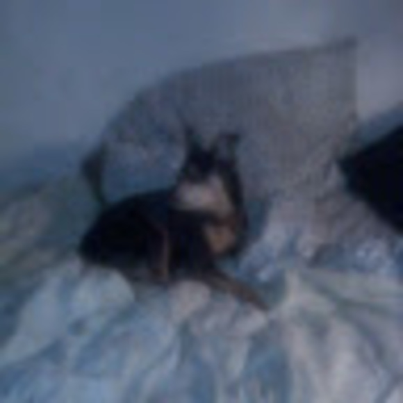 Profile Picture of Robert Robertson (@robertrobert662) on Poshmark