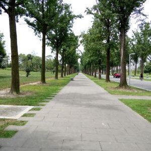 Profile Picture of 张英俊 (@YingjunZhang) on Twitter