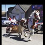 Profile Picture of Jimmy Doran (@1jimmyd) on Instagram