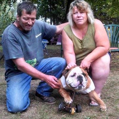 Profile Picture of Tamara Gurklis (@tinker54771) on Twitter