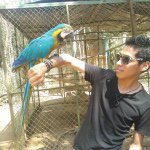 Rick Collins Jacinto Hañari - Instagram Profile Picture of Rick Collins Jacinto Hañari (@rick881992) on Instagram