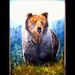 Profile Picture of Kevin Mulvaney (@mulkcomcastnet) on Pinterest