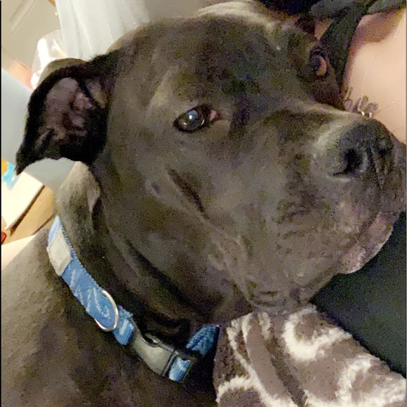 Profile Picture of Megan Gearhart (@meganrg2001) on Poshmark