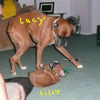 Profile Picture of Joe Bittner (@joe-bittner-7) on Quora