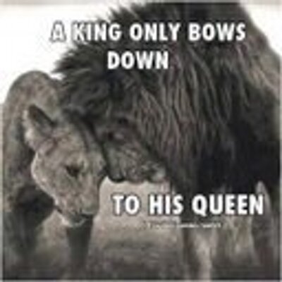 Profile Picture of Damien Singh (@damiensingh) on Twitter