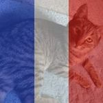 Profile Picture of Tony Everhart (@coco56roll) on Instagram