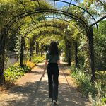 Profile Picture of Chiara De Michele Bolini (@chiarademichelebolini) on Instagram