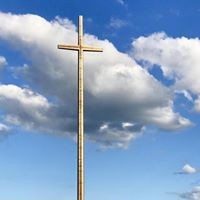 Profile Picture of Rita Mantone (@rita-mantone) on Quora