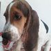 Profile Picture of Marco Aurelio Cardona Carvajal (@mac2jt) on Pinterest