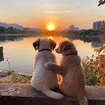 Profile Picture of Paige Mackay (@paigie.baaby) on Facebook