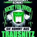 Profile Picture of Dustin Steindl (@lord_steindl) on Instagram