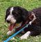 Profile Picture of Alfred Koppitz (@alfred.koppitz) on Facebook