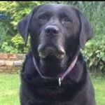 Profile Picture of Keith Connolly (@keith.connolly.100) on Instagram