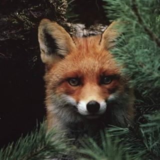 Profile Picture of Thomas F Thone (@thomasf.thone.7) on Facebook