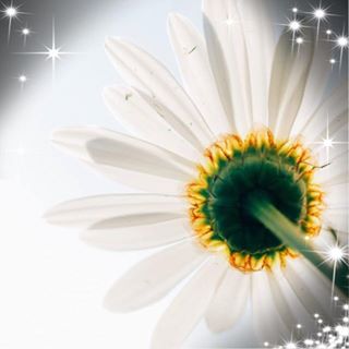 Profile Picture of Myriam Thibodeau (@myriam.thibodeau) on Facebook