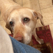 Profile Picture of Fabiola Cabrera (@fabiolacabrera8355) on Youtube