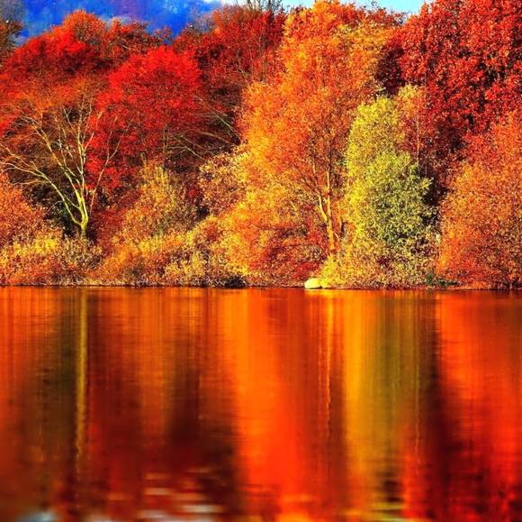 Profile Picture of Elisa Becerra (@becerra051184) on Poshmark