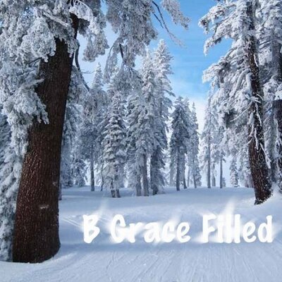 Profile Picture of Lisa Howard (@BGraceFilled) on Twitter