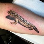 Profile Picture of Amanda Fox (@amandafoxtattoo) on Instagram