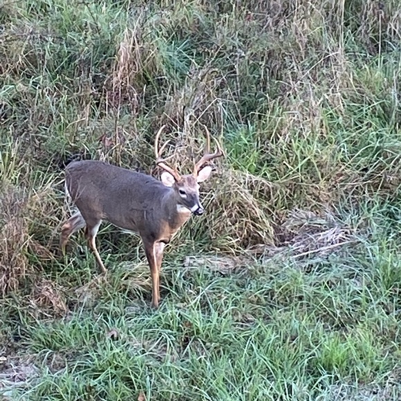 Profile Picture of James Wall (@coachwall) on Poshmark