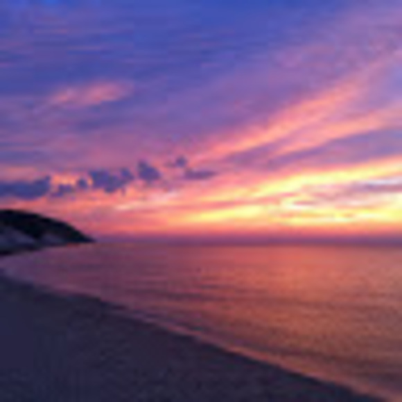 Steven Shauger - Poshmark Profile Picture of Steven Shauger (@srshauger) on Poshmark