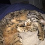 Profile Picture of Julia Guenther (@julie.e.guenther) on Instagram