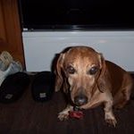 Profile Picture of Nancy Lewandowski (@nancylewie) on Instagram