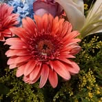 Profile Picture of Doreen Laurie (@Doreen-Laurie) on Facebook