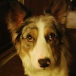 Profile Picture of shawn swanson (@epic_minecraft_gamer35) on Instagram