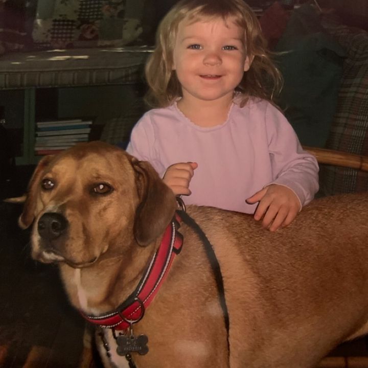 Profile Picture of kate mcphail (@kate_mcphail) on Tiktok
